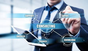 Consultancy and Business Support