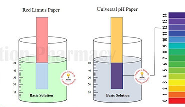 Paper Testing - Dorato Global Services